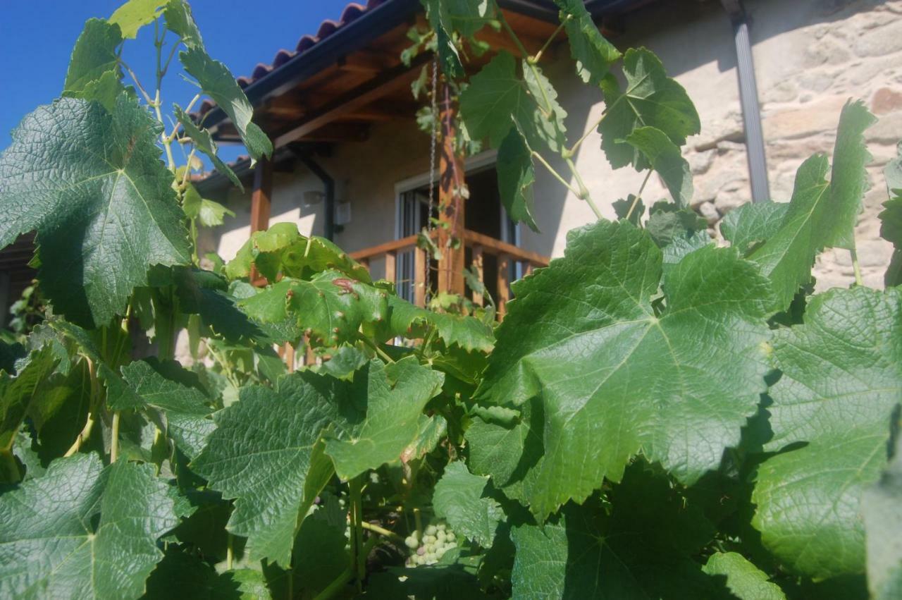 Casa De Las Flores Sober Ribeira Sacra Exterior foto